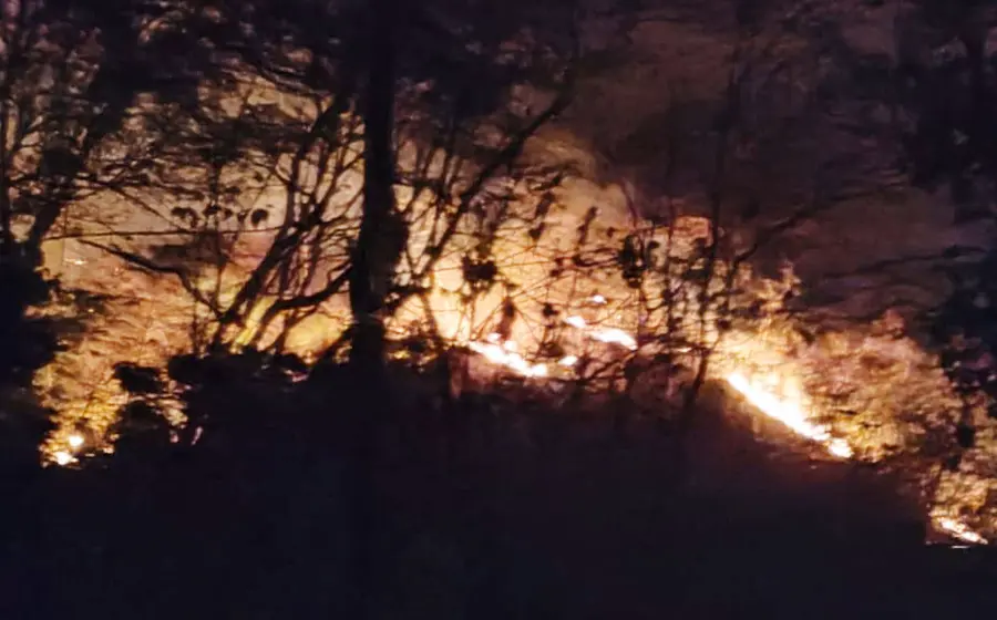 incendio-portada