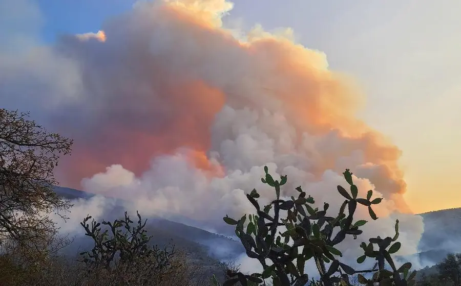 incendio-portada