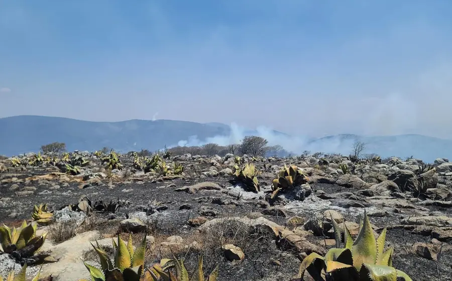 incendio-portada