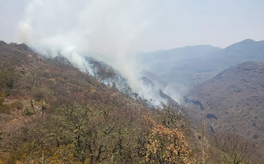 incendio-portada
