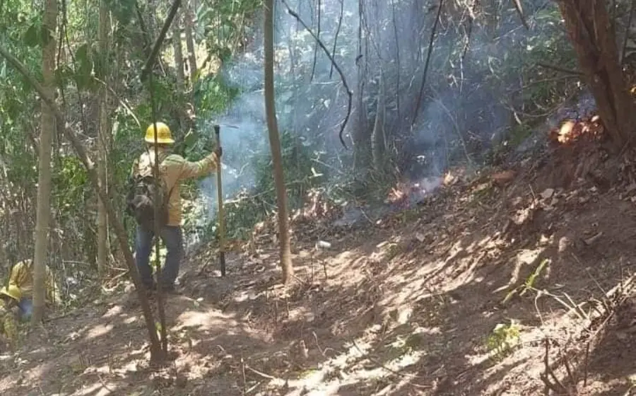 incendio-portada