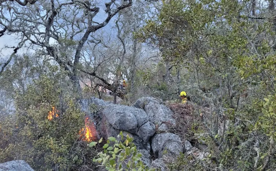 incendio-portada