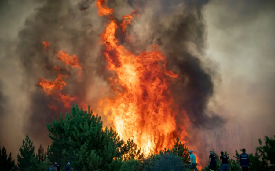 incendio-portada