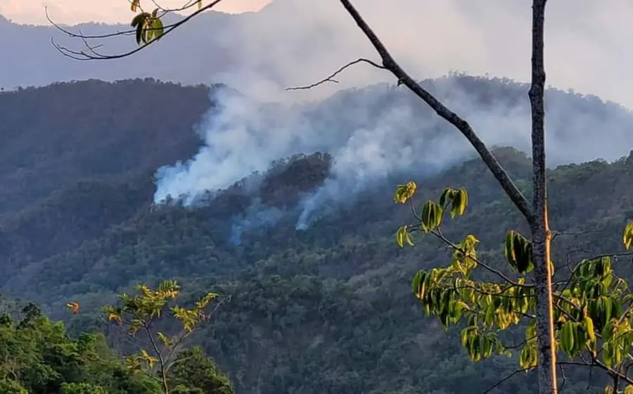 incendio-portada