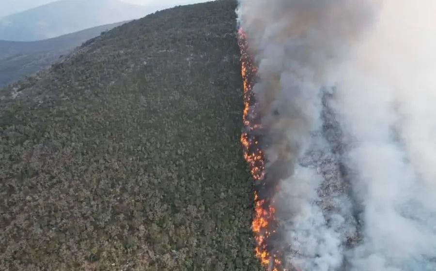 incendio-portada