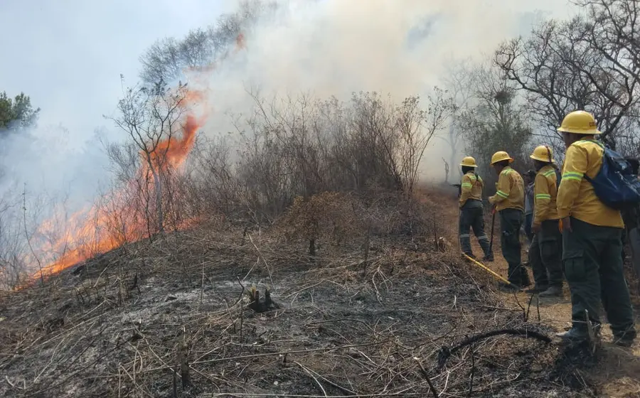 incendio-sierra-juarez2