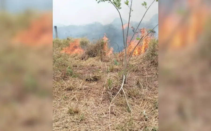 incendio-tuxtepec
