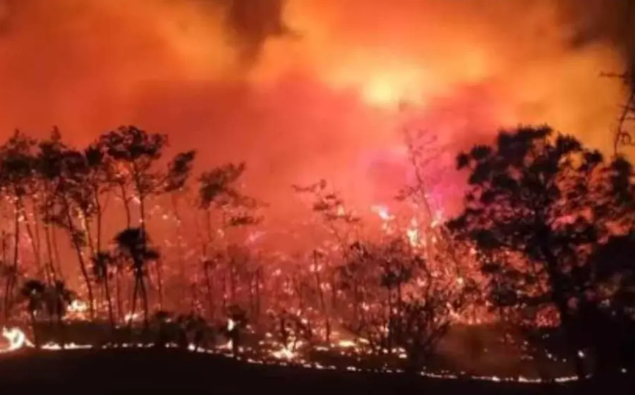 incendio_forestal_san_mateo_sindihui