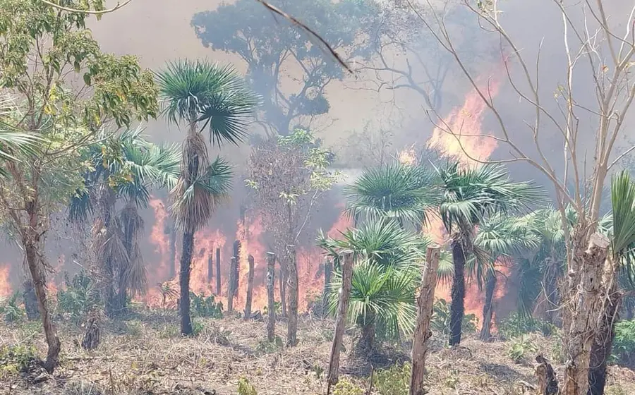 incendios-costa1