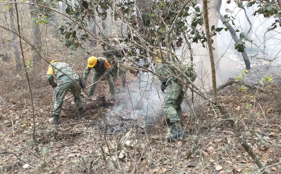 incendios-forestales