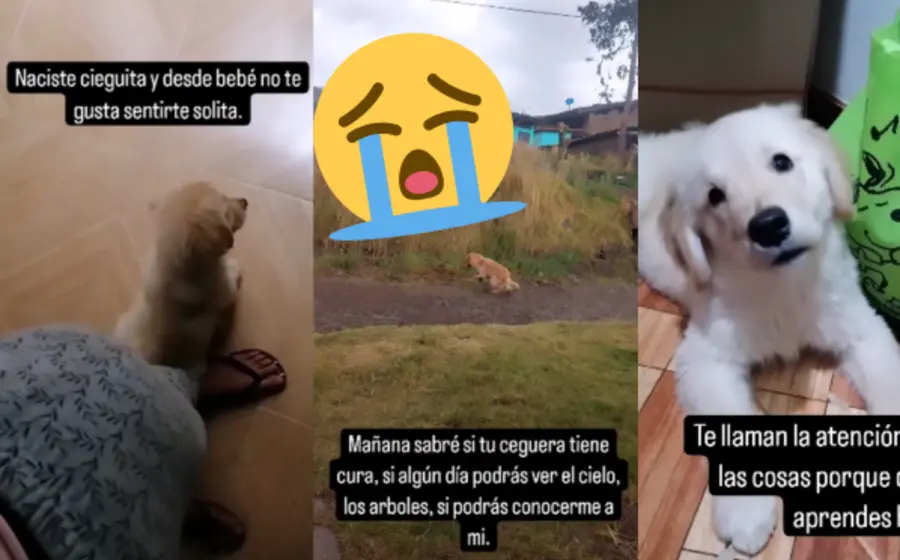 lomita-portada