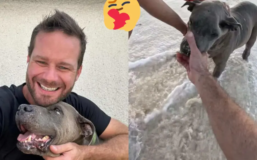perrita_enferma_playa_eutanasia