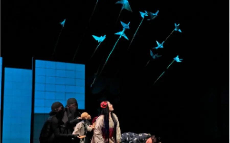 madame-butterfly
