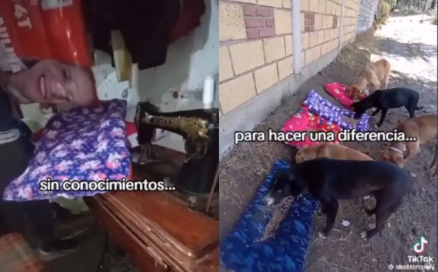 perros-politicos-portada
