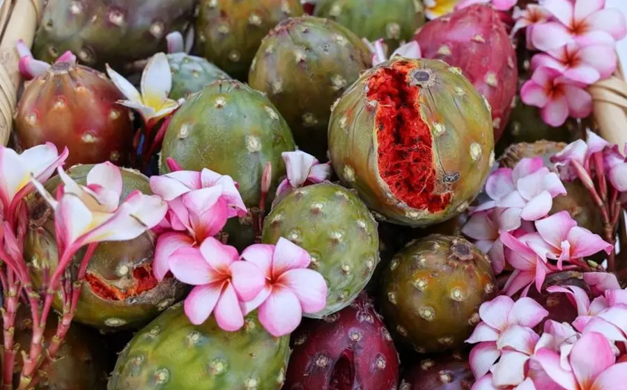 pitaya