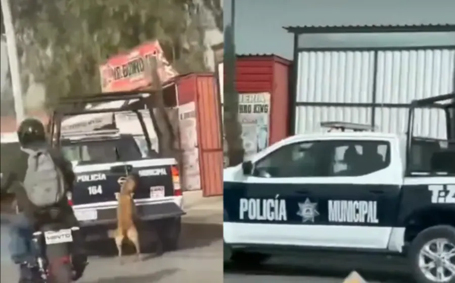 policia-perro