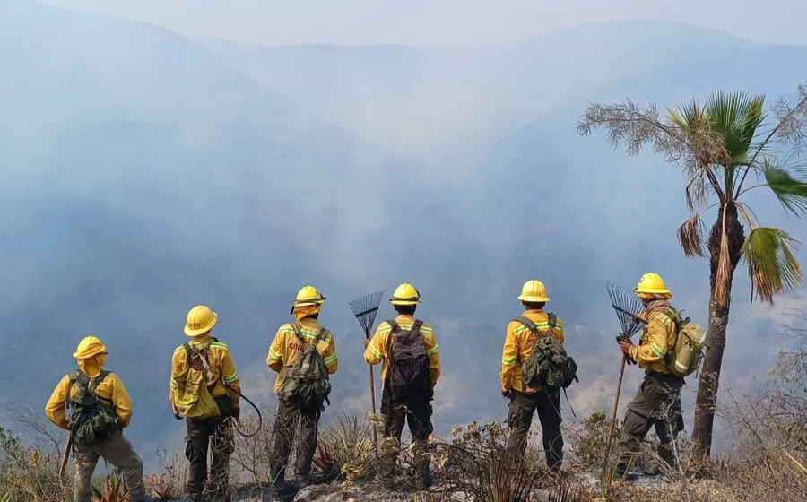 portada-incendios