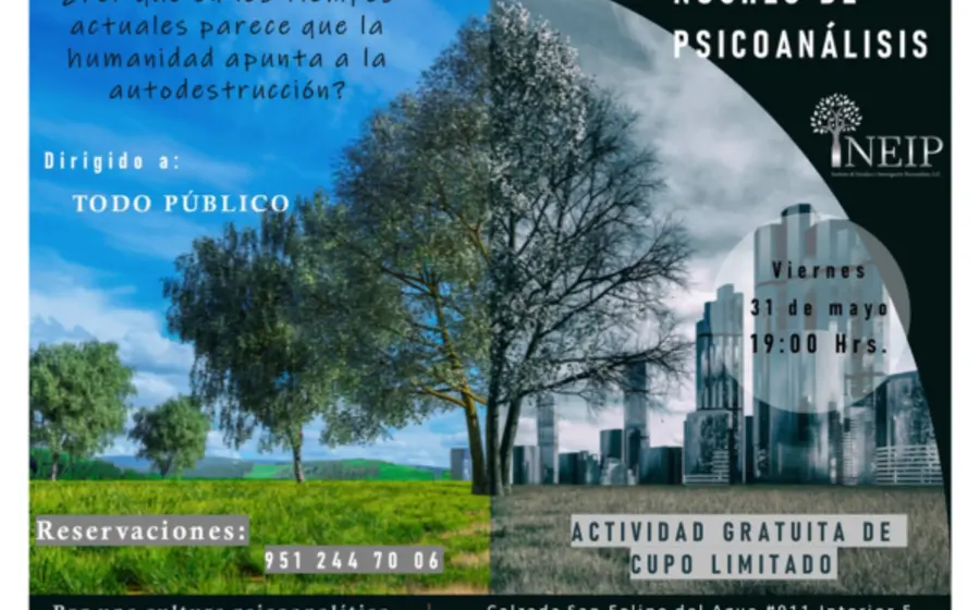 principal-portada