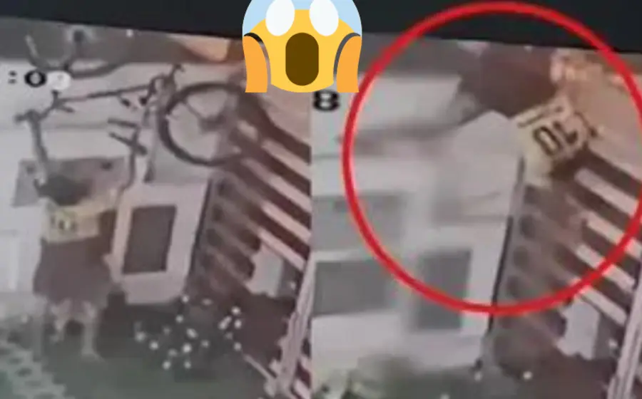 ladron_queda_atorado_puas_muere