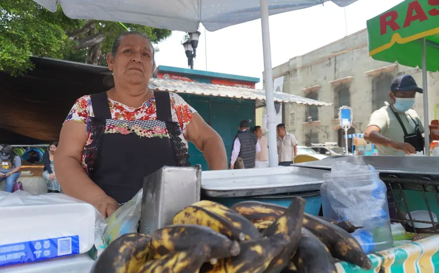 trabajo-oaxaca