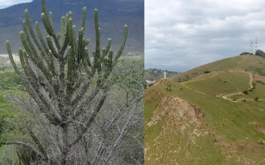 areas_naturales_protegidas_estatales_oaxaca