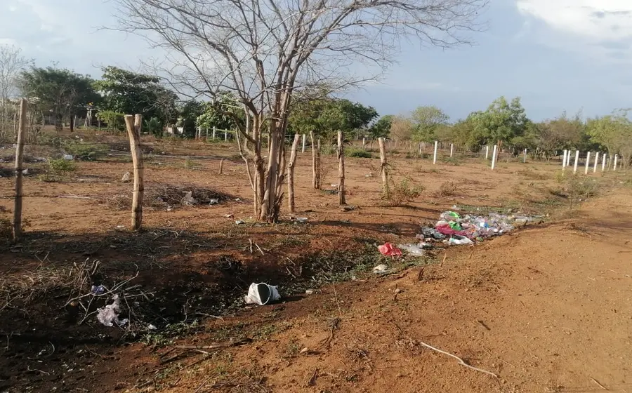 A falta de un relleno sanitario, la ciudadanía de Tehuantepec deposita su basura donde puede.