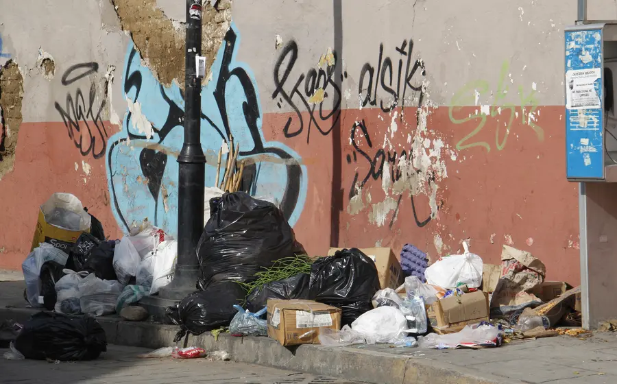 basura3