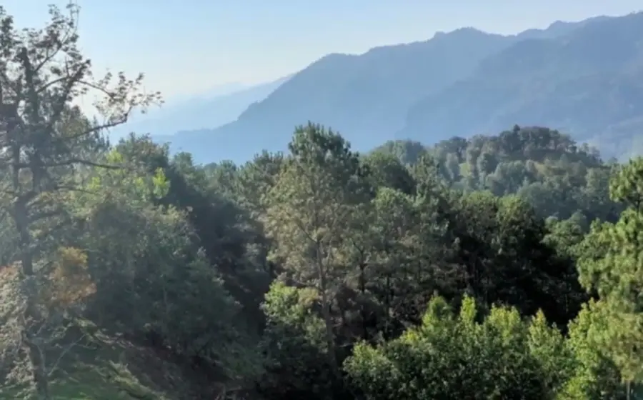 cerro_camino_historia