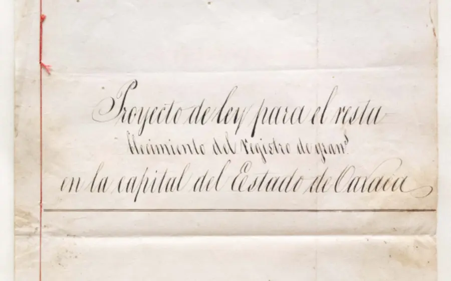 Portada Proyecto de Ley para el restablecimiento del registro de grana en Oaxaca, 1853.