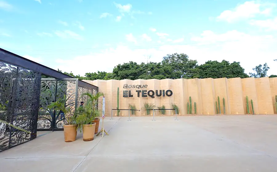 Desde 1991, el Bosque “El Tequio”, no recibía una atención profunda.