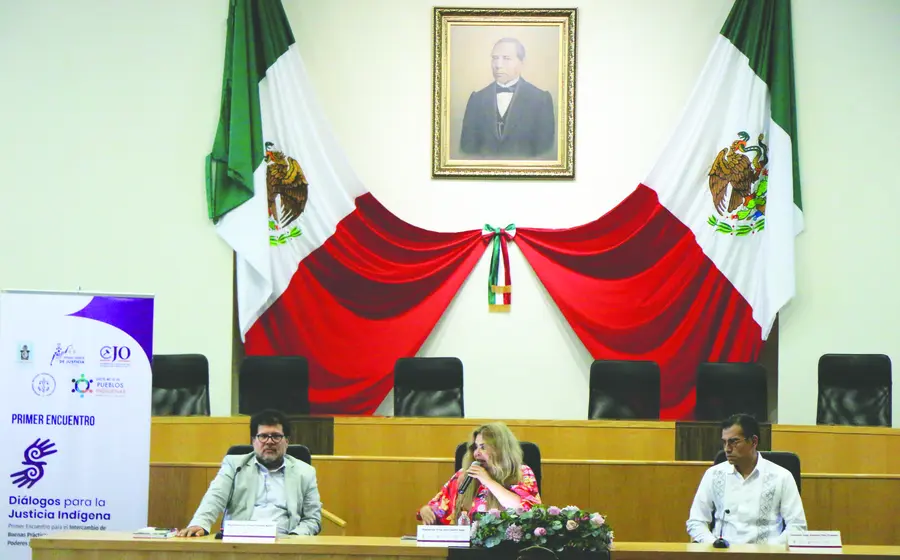 Guillermina solicita a la titular del TSJO, Berenice Ramírez Jiménez, que su caso no quede en la impunidad.