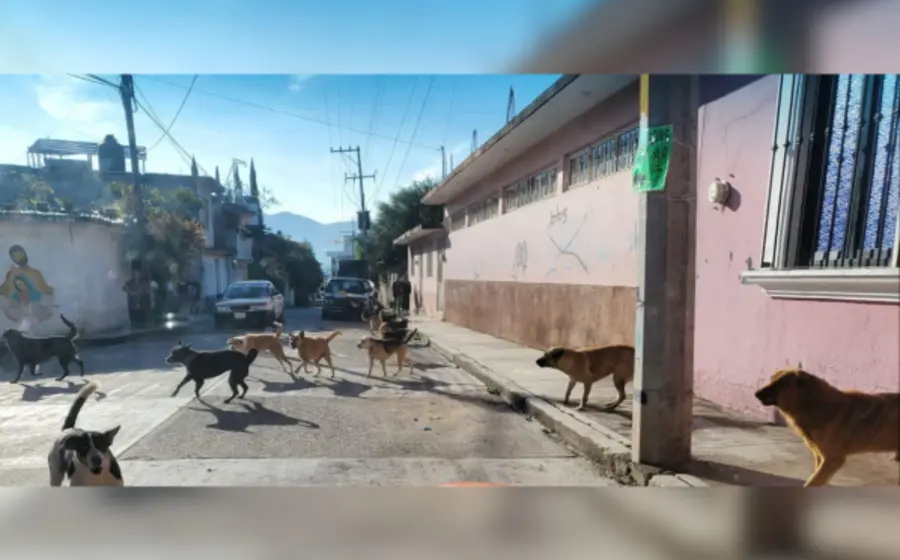 huajuapan-albergue-1