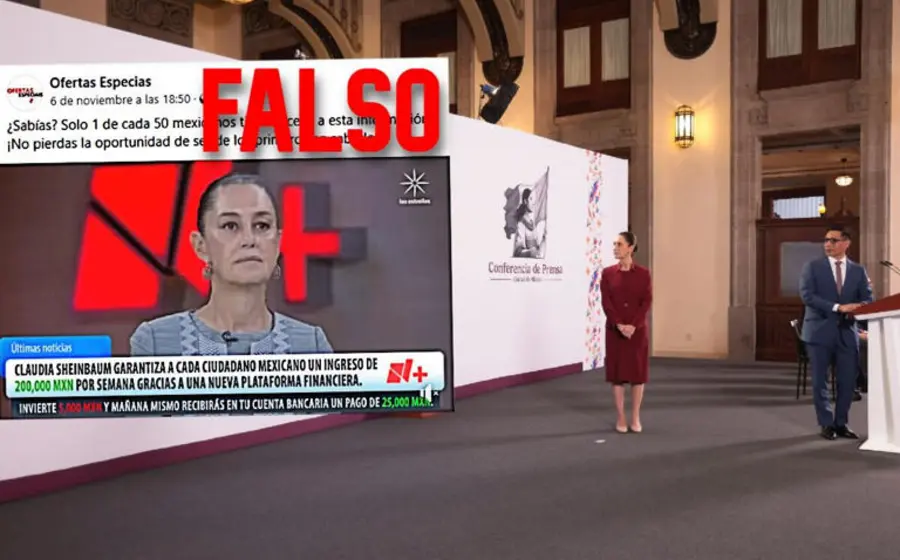 shainbaum-falso