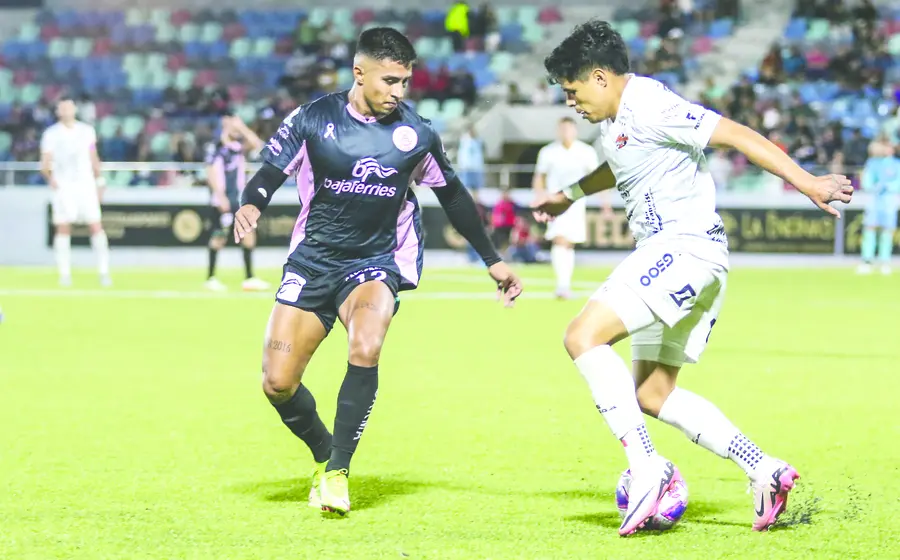 alebrijes_oaxaca_vs_la_paz