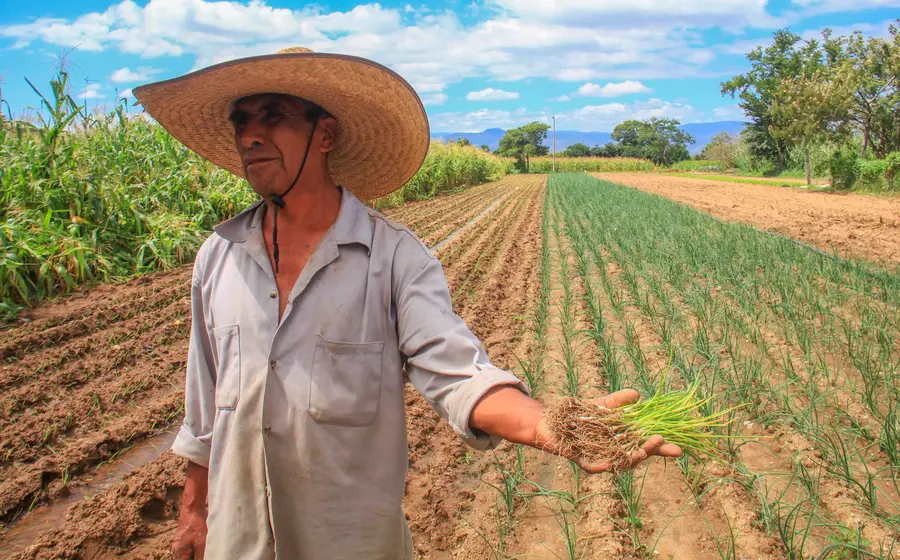 Armando prefiere la libertad que le da no depender de apoyos oficiales que son insuficientes.