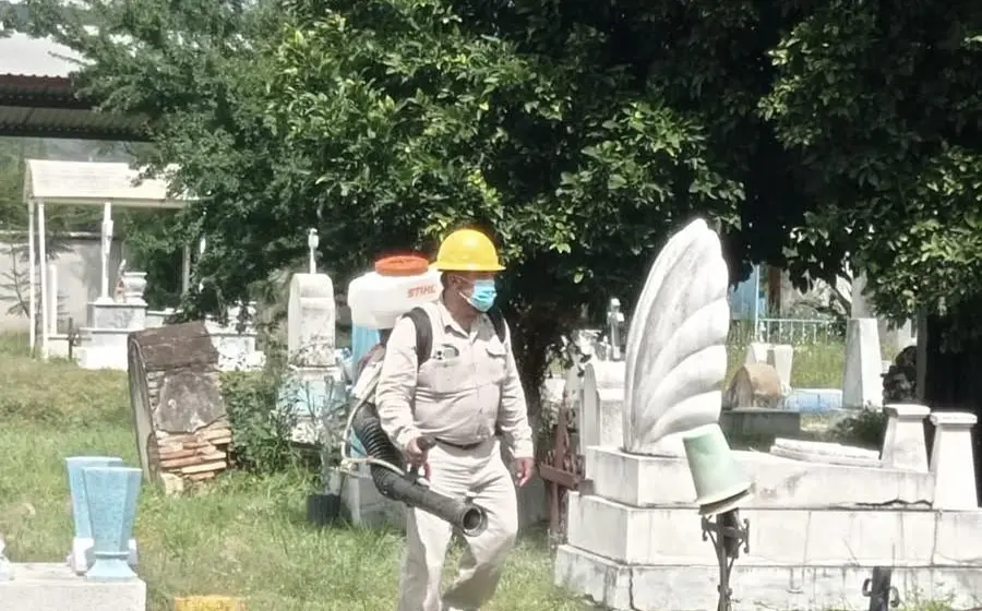dengue-panteón