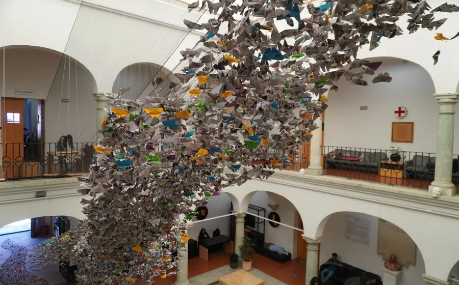mariposas-uabjo-1