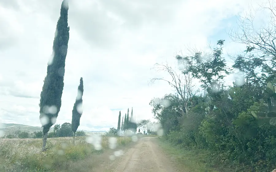 paz