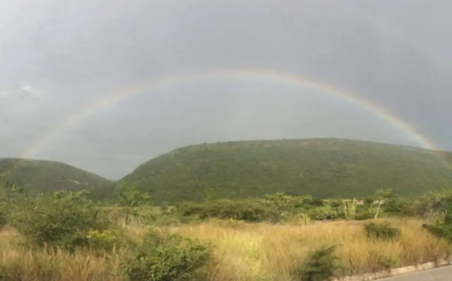 La zona de conservación tiene fauna endémica de la Mixteca.