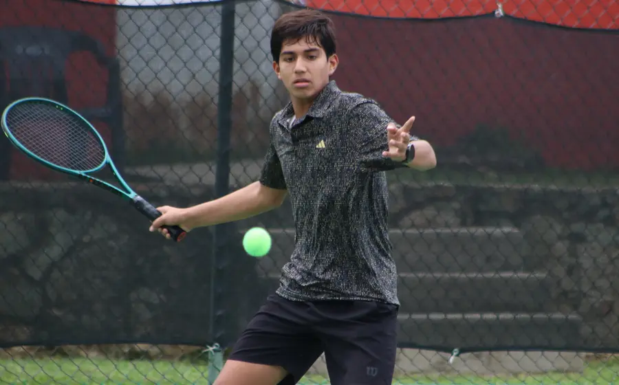 tenis