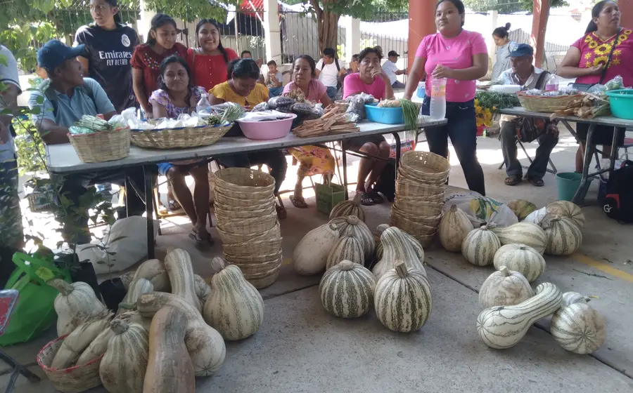 Por primera vez, campesinos del programa federal  "Sembrando Vida" instalaron un tianguis en la co- lonia Benito Juárez para expender los productos  que cosecharon.