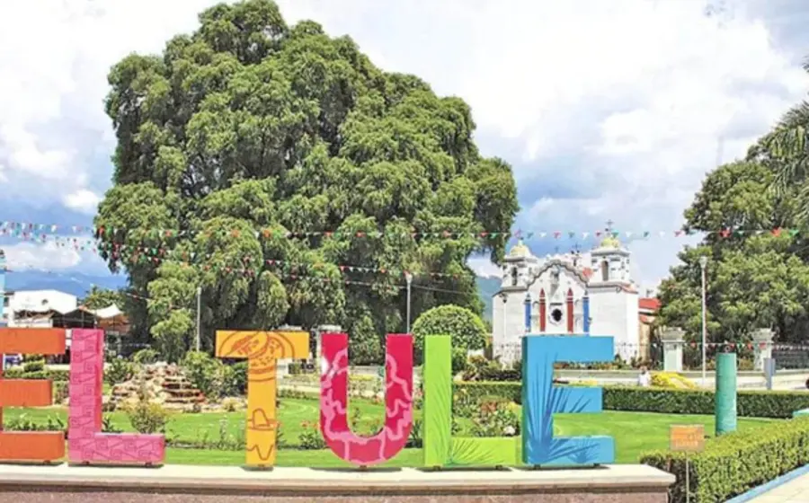 festival_internacional_arbol_del_tule