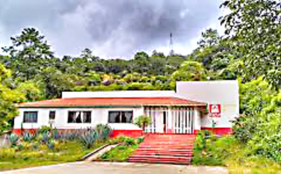 voz-juarez