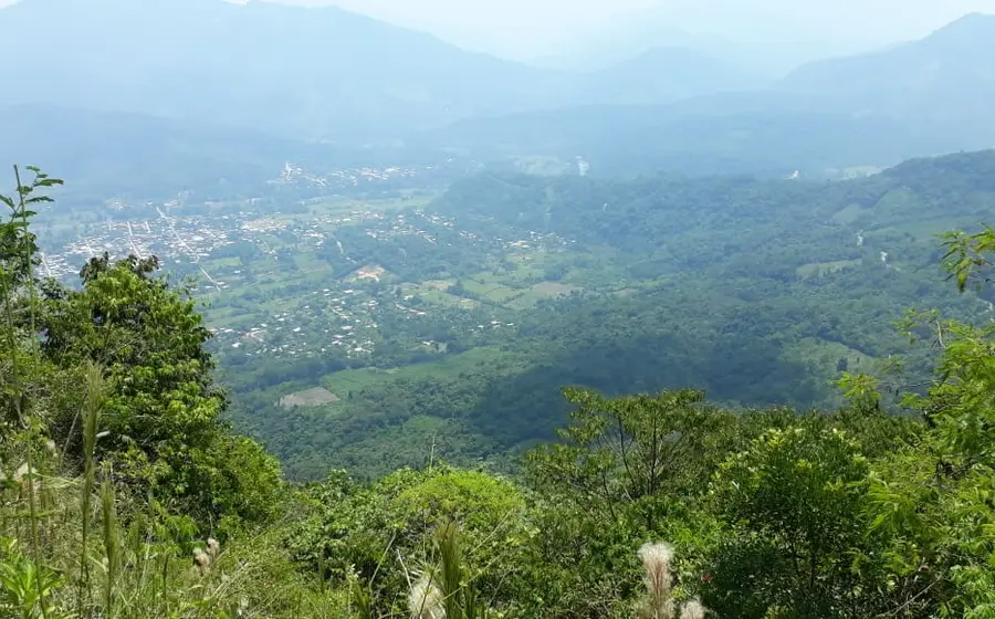 ambiental
