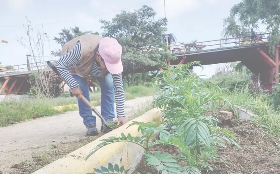 urgen_voluntarios_cuidado_rio_atoyac