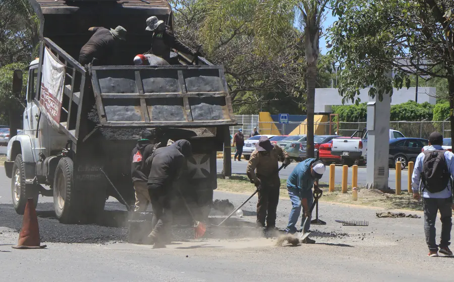baches