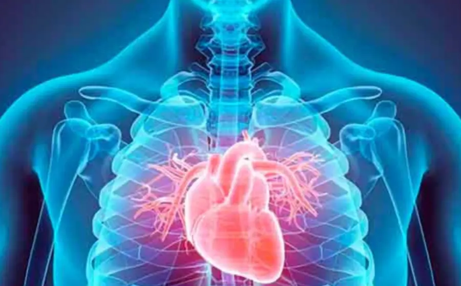enfermedades_corazon_causa_mortalidad_mexico