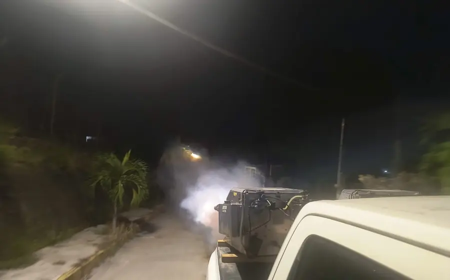 dengue
