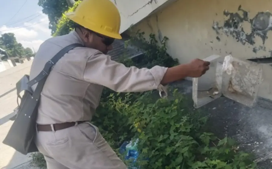 dengue