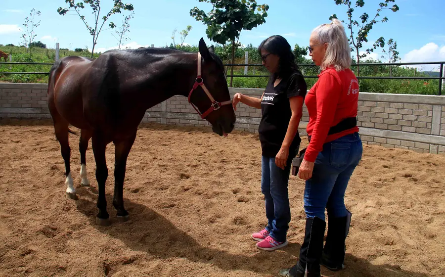 equinoterapia-oaxaca2